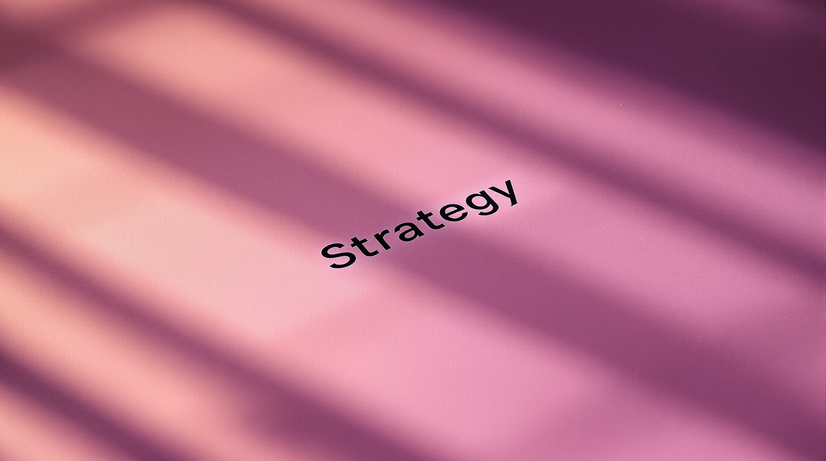 VZU Fractional CMO